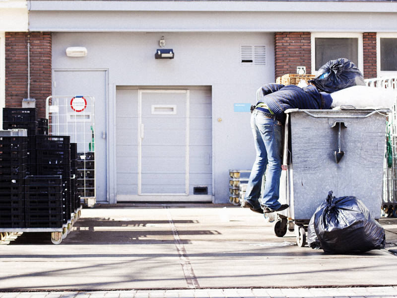 robino passing for his Dumpster Diving Masters Exams